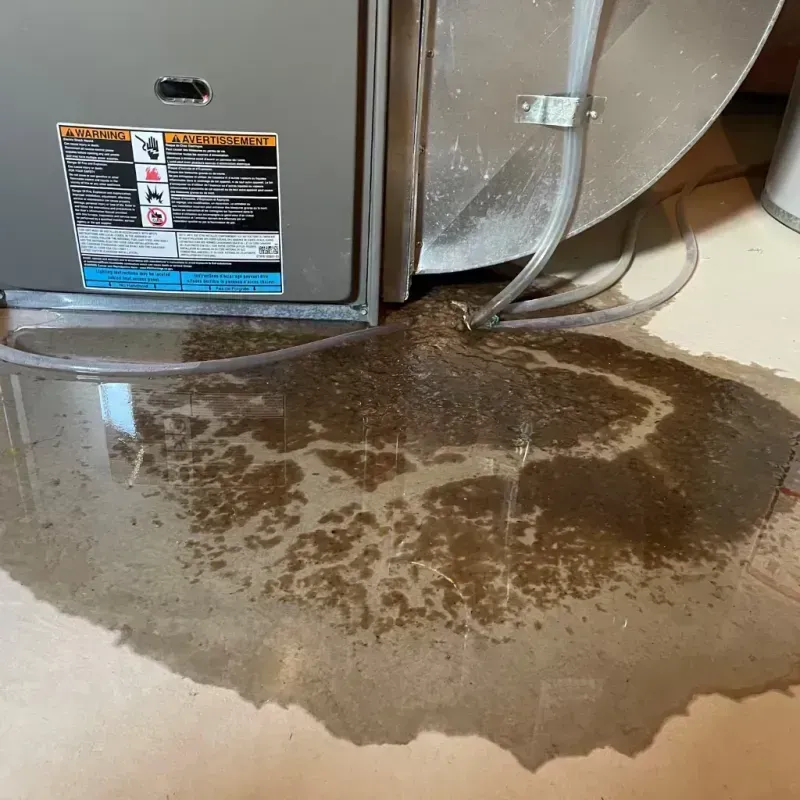 Appliance Leak Cleanup in Prince William County, VA